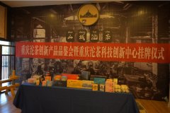 出谋献策！巴南区以茶为笔绘就 村落复兴